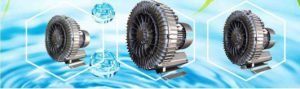 Bài viết máy sục khí con sò hà nội
