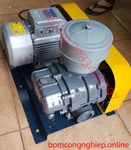 Máy thổi khí ba thùy Veratti