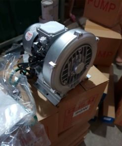 Máy sục khí con sò Veratti